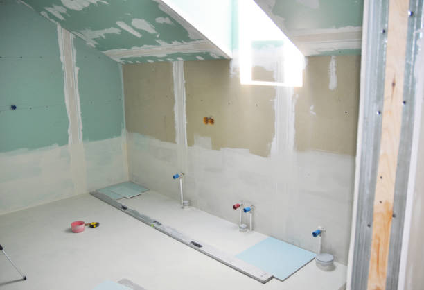 Best Airborne Mold Testing  in Worth, IL