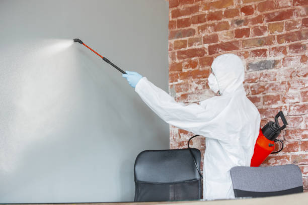 Best Asbestos and Lead Testing During Mold Inspection  in Worth, IL