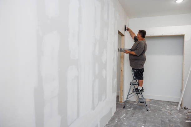 Best Crawl Space Mold Remediation  in Worth, IL