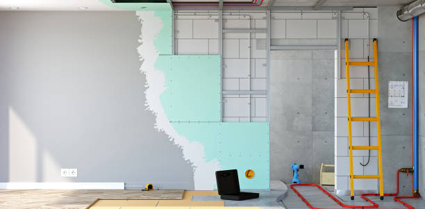 Best Forensic Mold Investigation  in Worth, IL