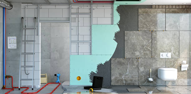 Reliable Worth, IL Mold Removal Solutions