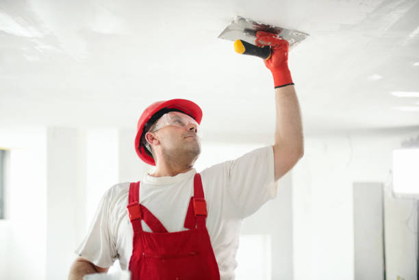 Best Water Damage & Mold Remediation  in Worth, IL