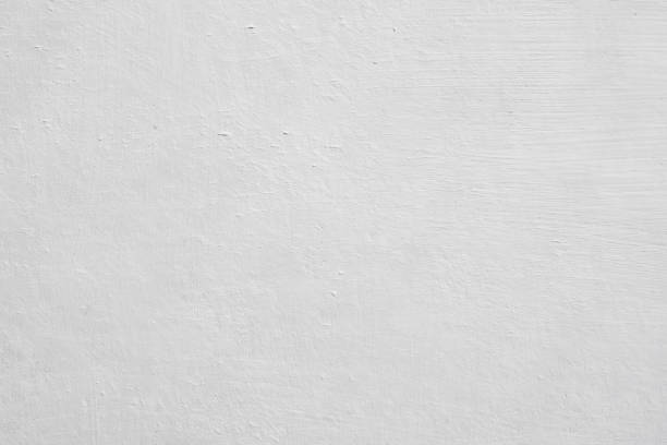 Best Mold Damage Restoration  in Worth, IL