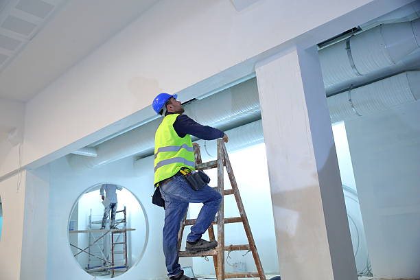 Best Biohazard Mold Removal  in Worth, IL
