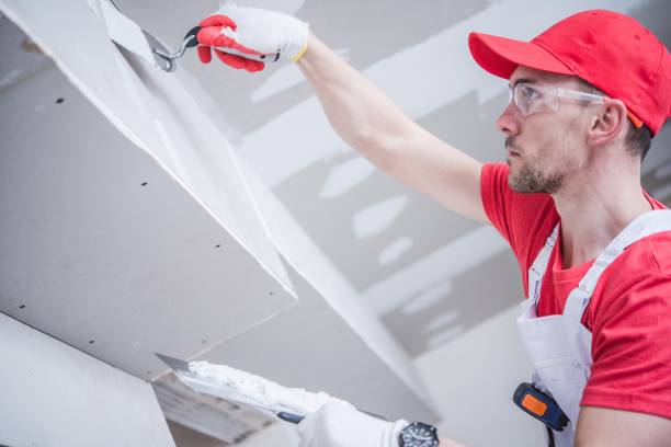 Best Mold Documentation for Insurance Claims  in Worth, IL